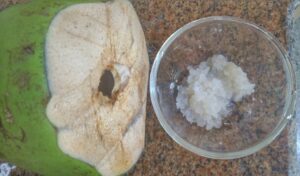 Coconut water Kefir bangalore