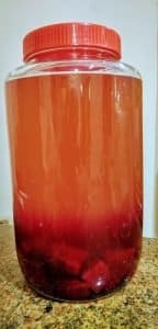 beet kvass by kefirwala