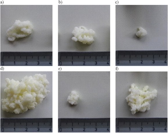 Different types of Kefir Grains