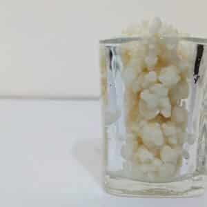 Preminum Milk kefir grains